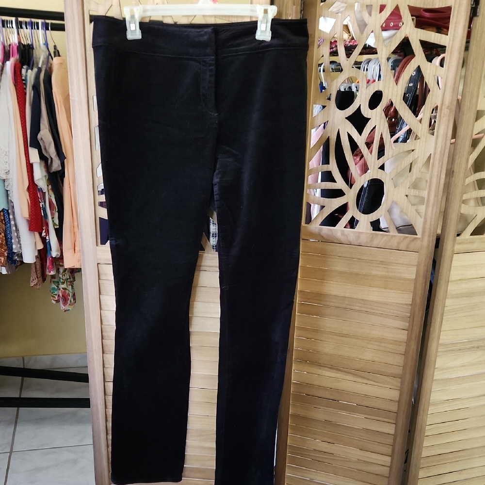 Ann Taylor Classic Black Straight Leg Pants